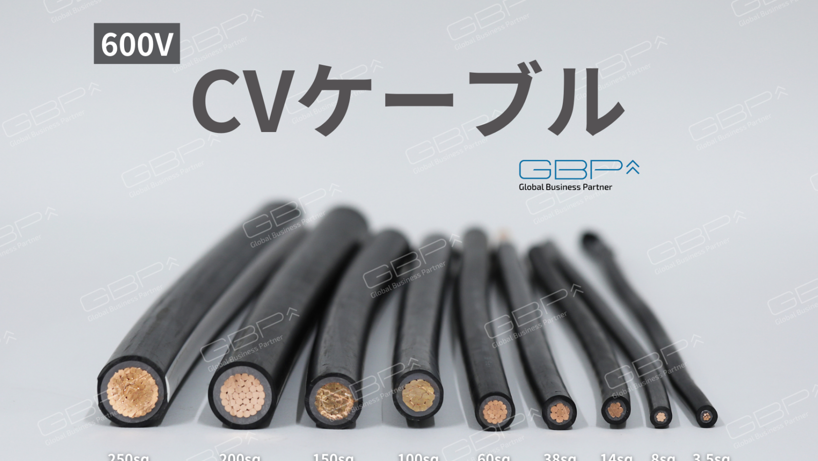 600V CV