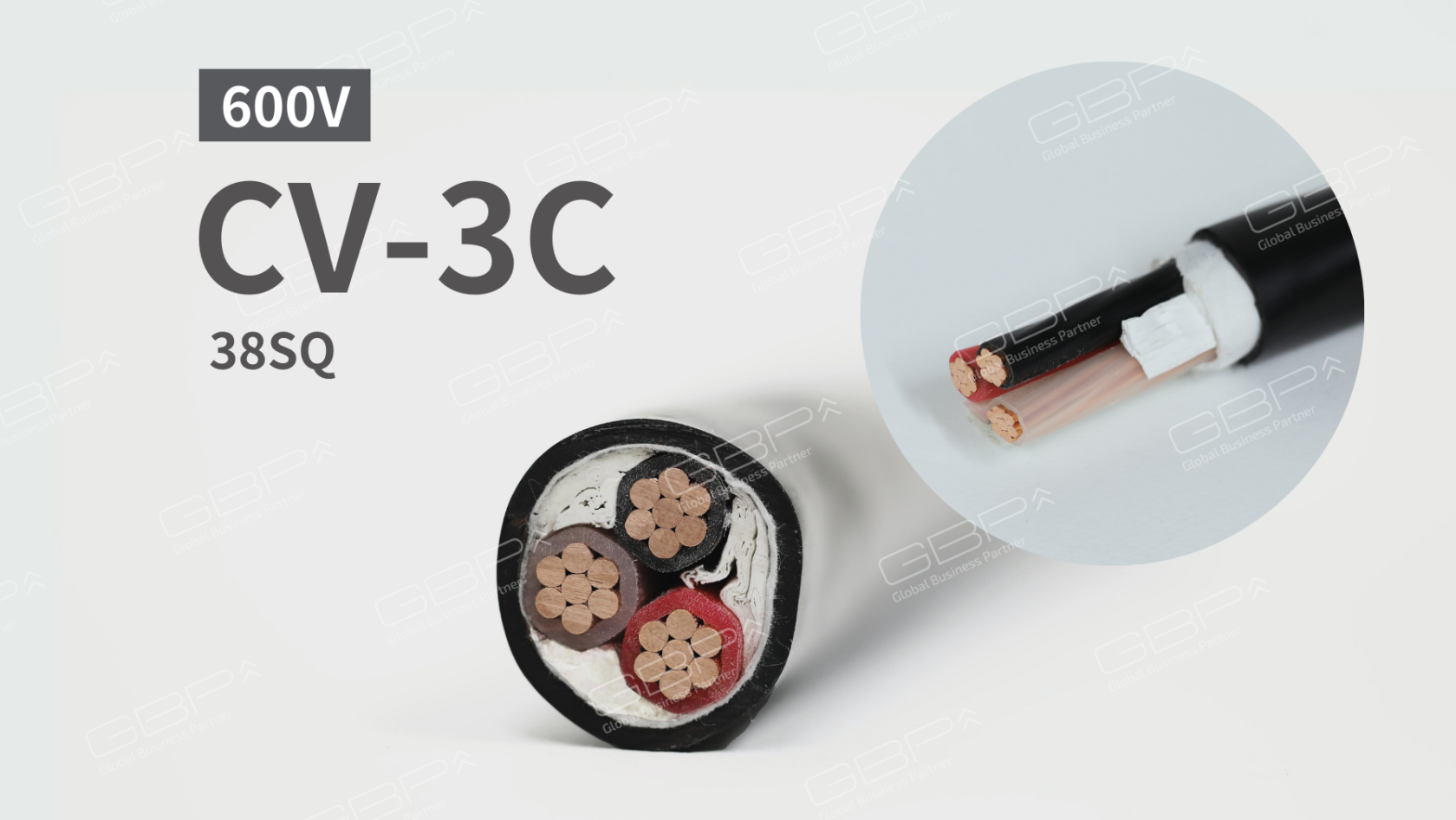 600V CV-3C (2)